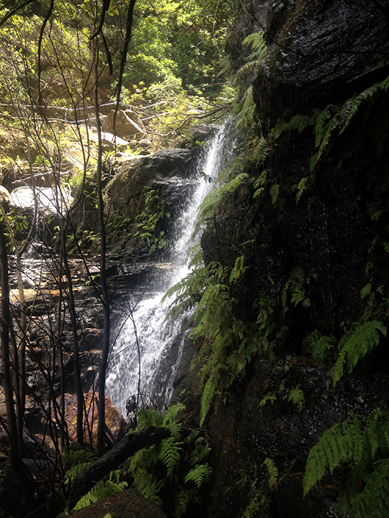 Wentworth Falls waterfalls