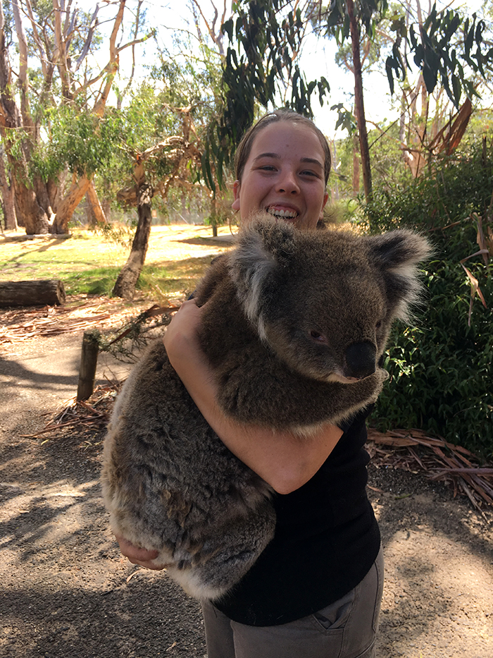 Cleland Wildlife Park - Koala Hug
